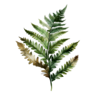 Tropical leaf watercolor ai generate png