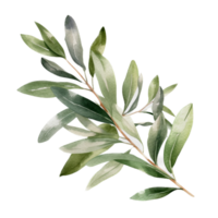 Green leaf watercolor ai generate png