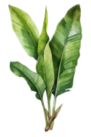 tropical folha aguarela ai gerar png