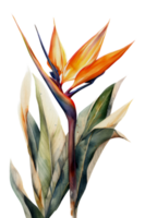 Tropical leaf watercolor ai generate png