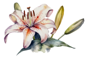 Flower with leaf watercolor AI Generate png