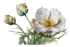 fleur avec feuille aquarelle ai produire png