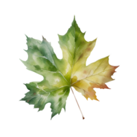 Beautiful autumn leaf watercolor ai generate png