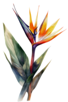 Tropical leaf watercolor ai generate png