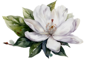 Beautiful flower with leaf watercolor AI Generate png