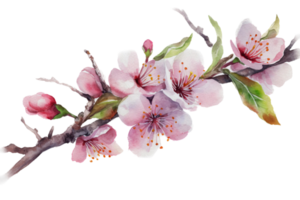 mooi bloem met blad waterverf ai genereren png