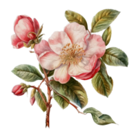 Beautiful flower with leaf watercolor ai generate png