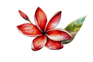 Beautiful flower with leaf watercolor AI Generate png