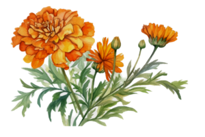 schön Blume mit Blatt Aquarell ai generieren png