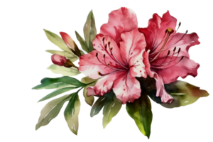 Beautiful flower with leaf watercolor AI Generate png