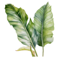 tropical hoja acuarela ai generar png