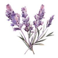 mooi bloem met blad waterverf ai genereren png