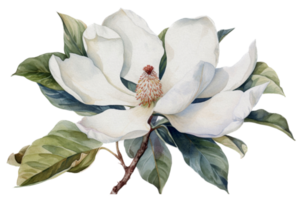 Blume mit Blatt Aquarell ai generieren png