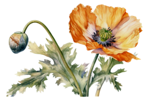 Flower with leaf watercolor AI Generate png