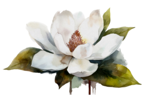 Beautiful flower with leaf watercolor AI Generate png