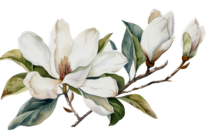 Flower with leaf watercolor AI Generate png