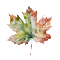 Beautiful autumn leaf watercolor ai generate png