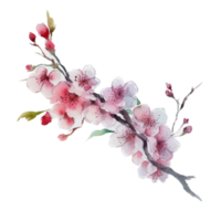 Beautiful flower with leaf watercolor ai generate png