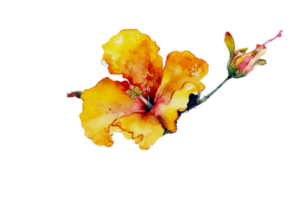 Flower with leaf watercolor AI Generate png