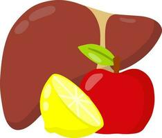 Healthy liver. Apple and lemon. good nutrition and diet. Cartoon flat illustration. vector