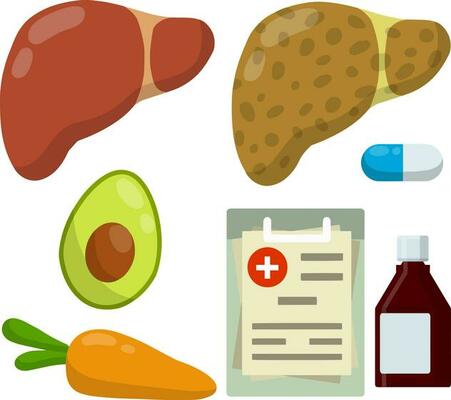 Healthy and diseased liver. Causes of illness the internal organ. Package of pill and tablet, carrots, avocado. Medical diagnosis. Funny cartoon flat illustration. Set of Diet and good nutrition