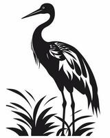 Black and white heron bird vector