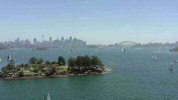yachts et bateaux dans Sydney port dans le été en volant plus de requin île video