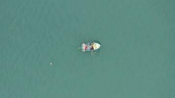 meeuwen vliegend in de omgeving van een visvangst vaartuig Bij zee video