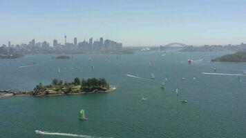 yachts et bateaux dans Sydney port dans le été en volant plus de requin île video