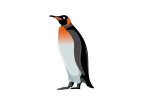 pinguino illustrazione su trasparente sfondo png