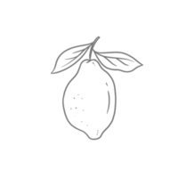 Lemon Brunch Hand Drawn Sketch png