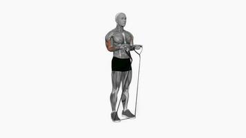 banda cerca apretón bíceps rizo aptitud ejercicio rutina de ejercicio animación vídeo masculino músculo realce 4k 60 60 fps video