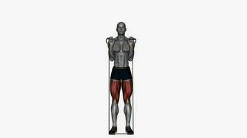 bíceps ondulação para ombro pressione resistência banda ginástica exercício exercite-se animação vídeo masculino músculo realçar 4k 60. fps video