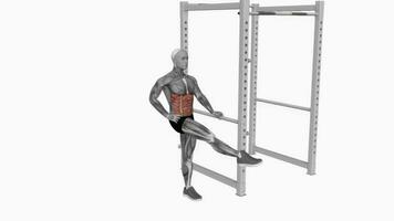 dynamisch Bein schwingen Fitness Übung trainieren Animation Video männlich Muskel Markieren 4k 60 fps