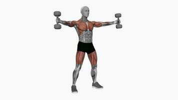 haltère le fer traverser aptitude exercice faire des exercices animation vidéo Masculin muscle surligner 4k 60 images par seconde video