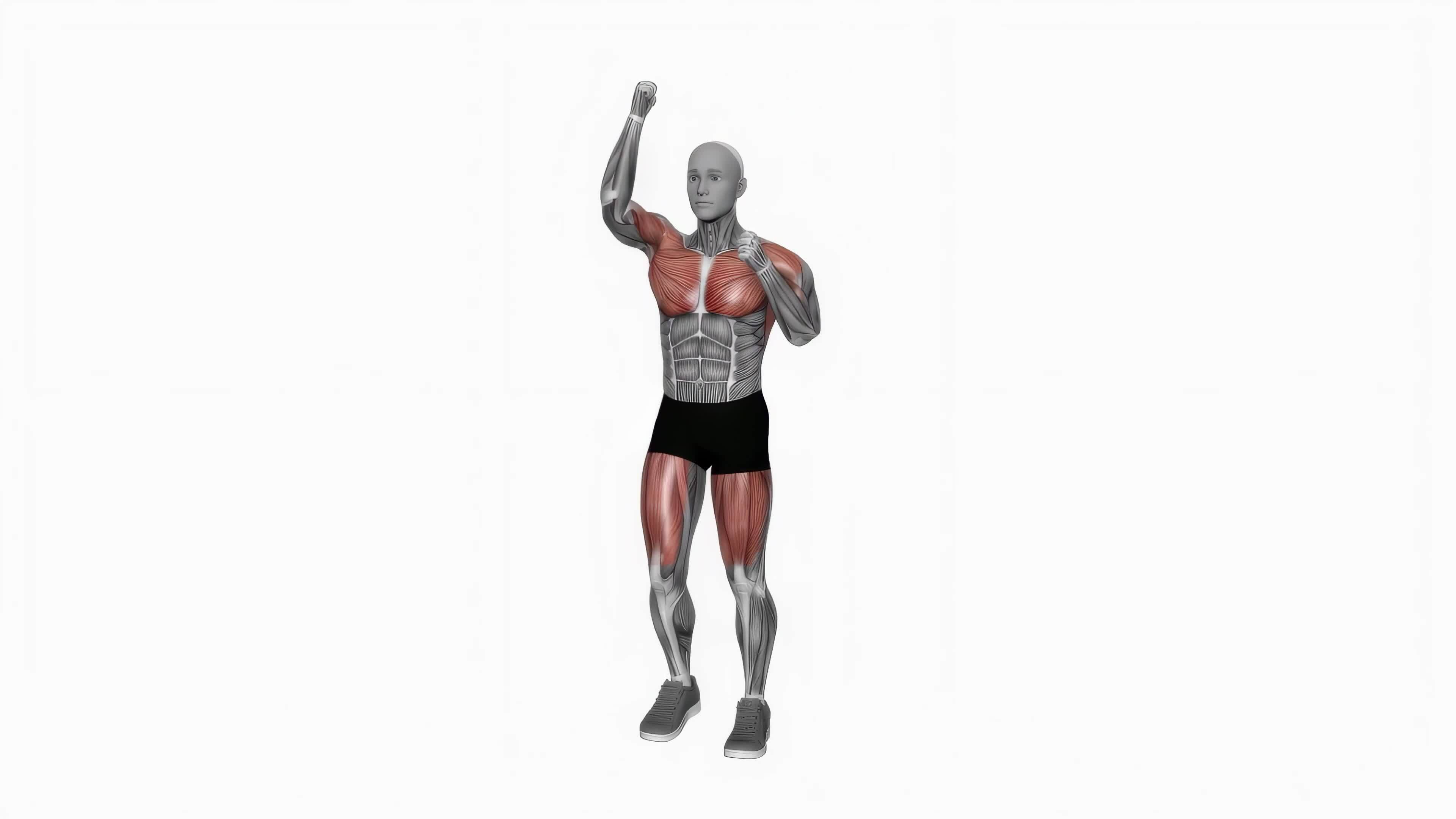 Air punches march fitness exercise workout animation video male muscle