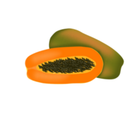 Tropical and exotic papaya fruit png