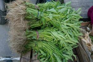 vegetal y hierba, pila de agua Espinacas o ipomoea aquatica de venta a Fresco mercado. en indonesio eso es llamado kang kung foto