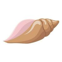 Seashell. vector illustration isolated on a white background.