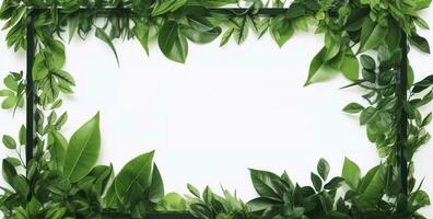 green plant and leaves frame isolated on white background,  for wedding invitations and greeting cards, generate ai photo