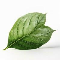 Verdant green leaf isolated on white background, generate ai photo