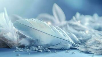 a bright blue background with one white feather, in the style of soft and dreamy pastels, glimmering light effects, nature inspired imagery, fairycore, soft focal points, generate ai photo