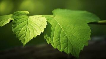 ambiente tierra día en natural verde hojas y plantas usado como primavera antecedentes cubrir página verdor ambiente ecología fondo de pantalla, concepto eco tierra día. ahorro el ambiente, generar ai foto