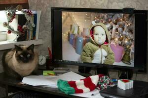 On the computer monitor, a small child at the Christmas tree. Desktop with a cat and a computer with video communication with the kid. Stay at home, quarantine and social distancing on New Years. photo