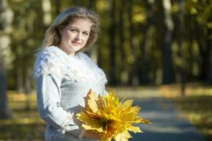 Beautiful young woman in an autumn park with a bouquet of maple leaves. photo