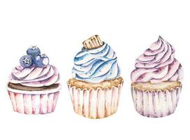 Watercolor cupcakes cherry.Chocolate cup cake, strawberry, blueberry.For birthday bakery menu. vector