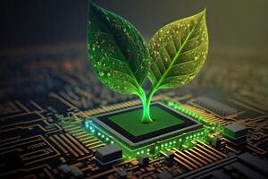 Growing tree on the converging point of acomputer circuit board. Nature with Digital Convergence and Technological Convergence. Green Computing, Green Technology, Green IT, csr, photo