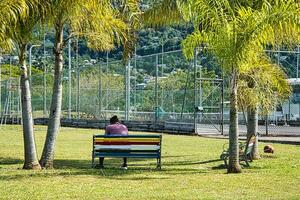 Mahe Seychelles 1.04.2023 Man sitting on wooden bench with seychelles colored flag inside the port complex photo