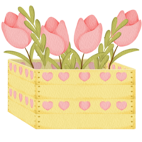 vattenfärg blomma trälåda png