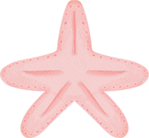 Starfish watercolor cartoon png